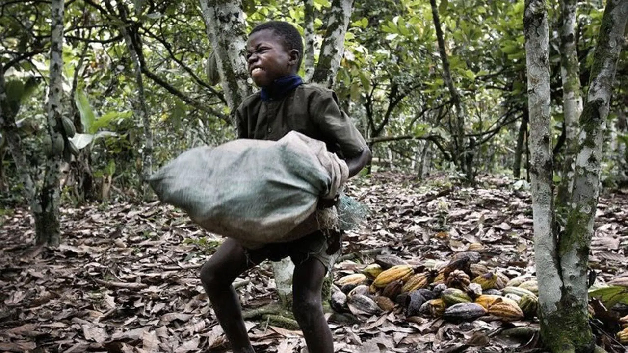 child labor africa
