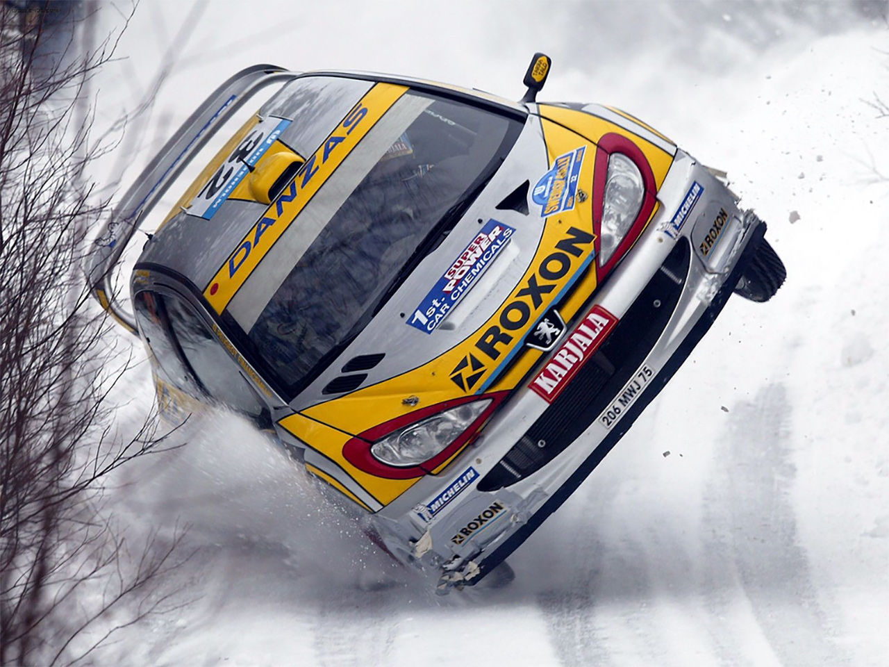 Peugeot 206 rally