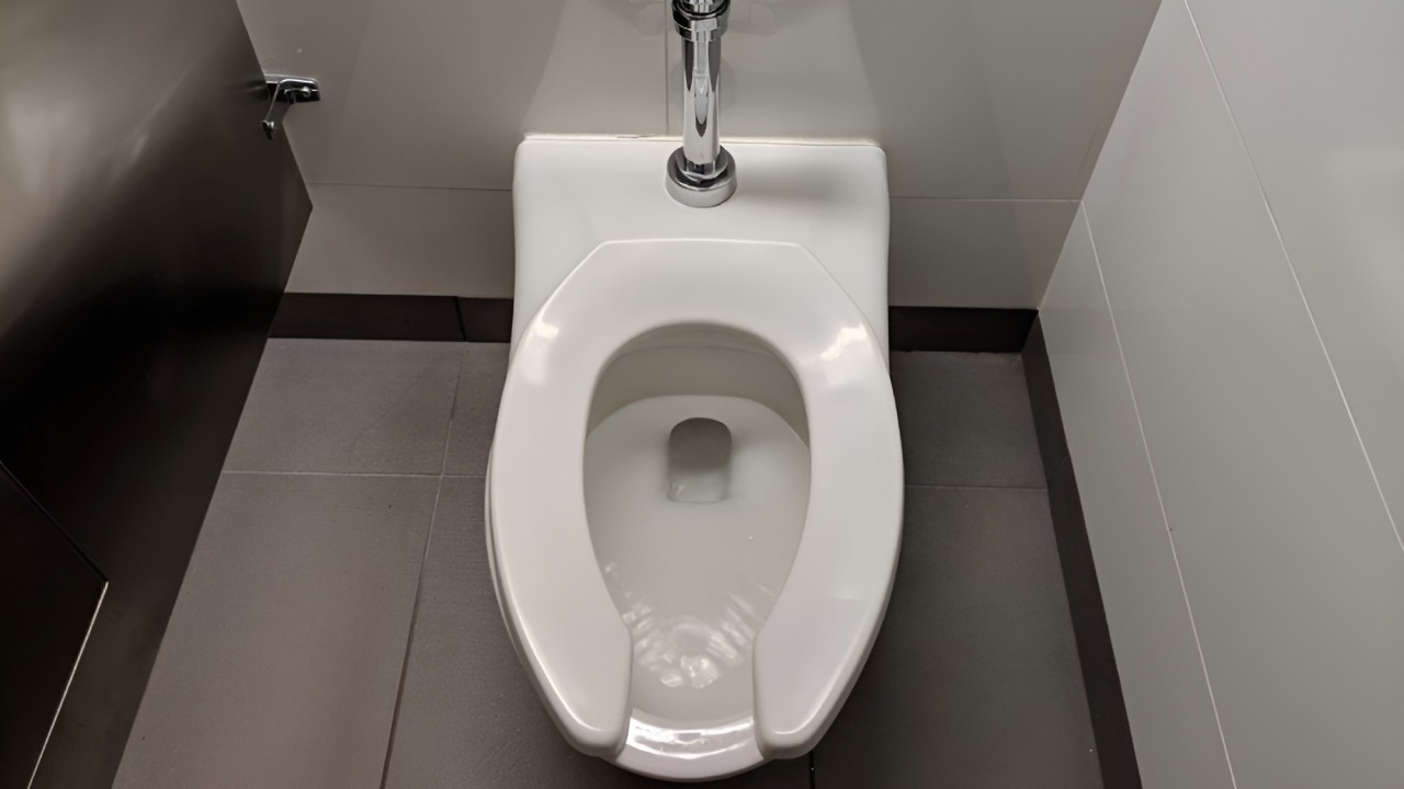 toilettes américaines