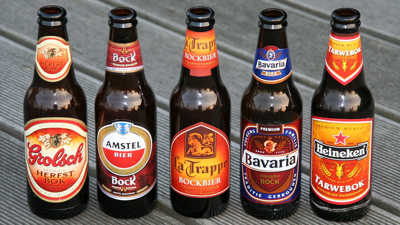 Hollanda birası