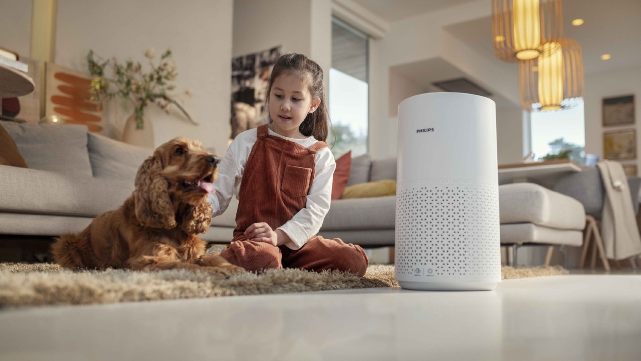 Which air purifier to buy?