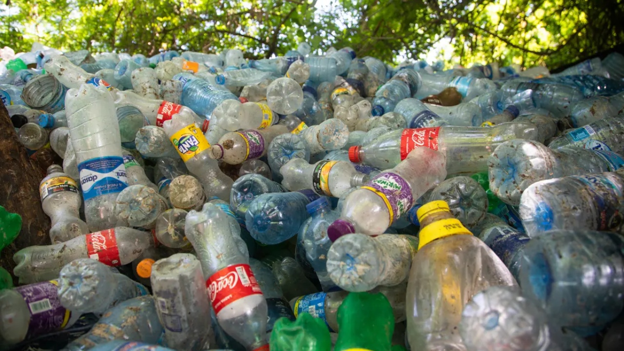 Dünyadaki "Takip Edilebilir" Tüm Plastik Atıkların %25’i Sadece 5 Şirket Ait