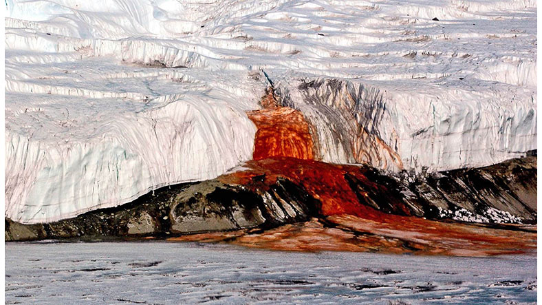 Antarktika’daki Bu Şelaleden Neden Kan Gibi Kırmızı Su Akıyor?