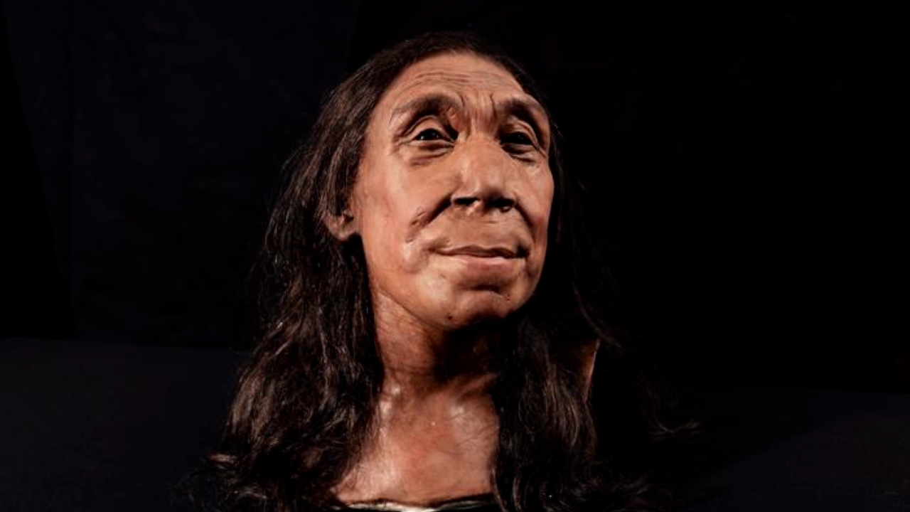 75 Bin Yıl Önce Yaşamış Bir Neanderthal Kadının Yüzü, 3 Boyutlu Olarak Yeniden Oluşturuldu (Tanıdık Gelebilir...)