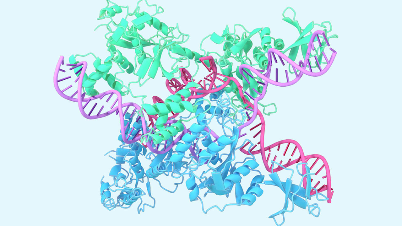 Google, DNA, RNA ve Daha Küçük Molekülleri Modelleyebilen Yeni Yapay Zekâsını Duyurdu