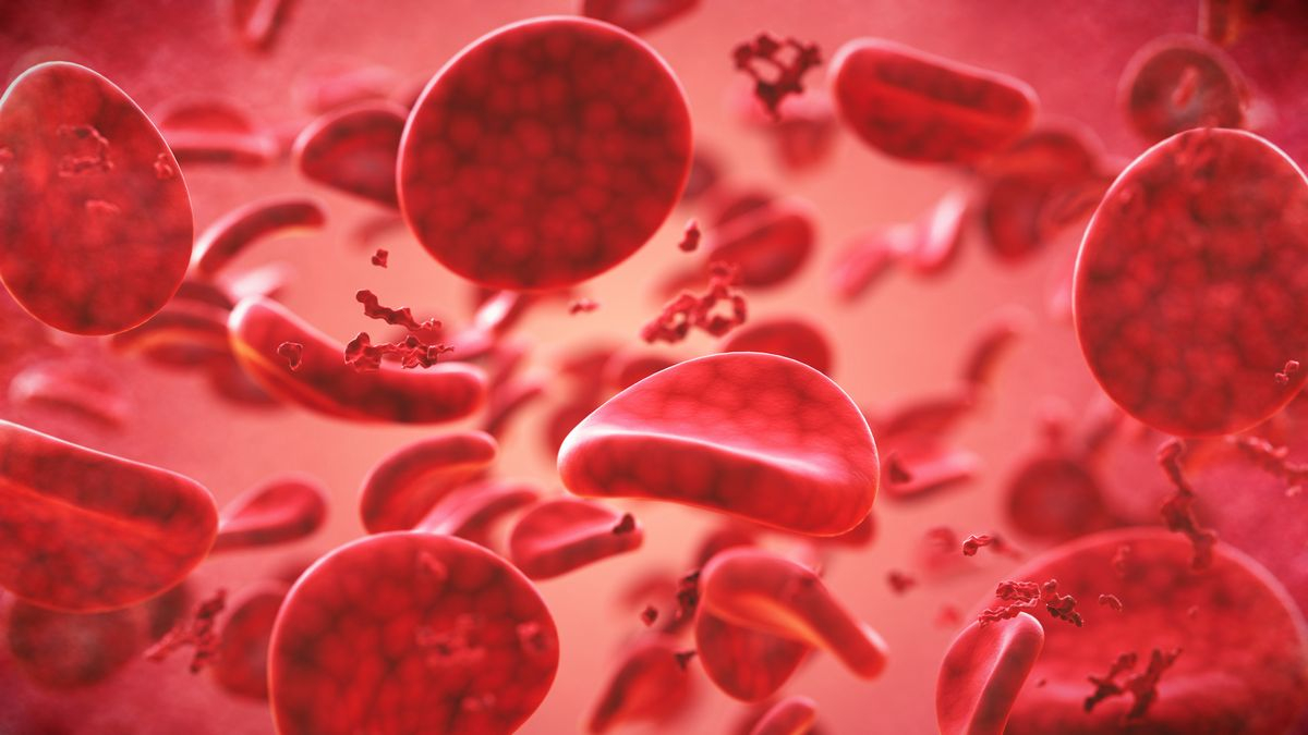“Evrensel Kan Grubu” Oluşturmayı Sağlayacak Yöntem Keşfedildi! Kan Gruplarını Değiştirebiliyor