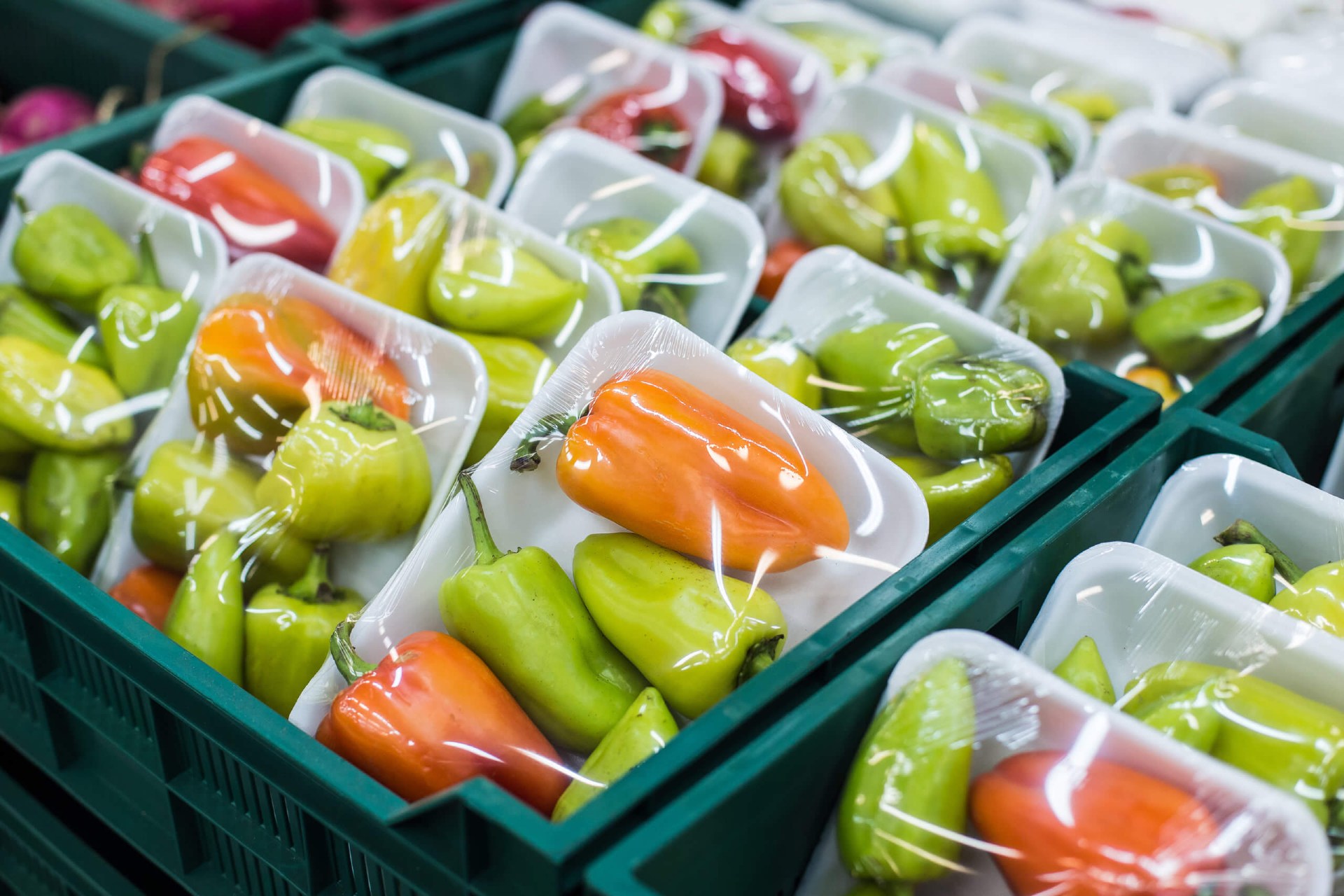 Plastik Gıda Ambalajlarıyla İlgili Endişe Verici Keşif: Tek Bir Pakette 9.900’den Fazla Kimyasal Tespit Edildi!