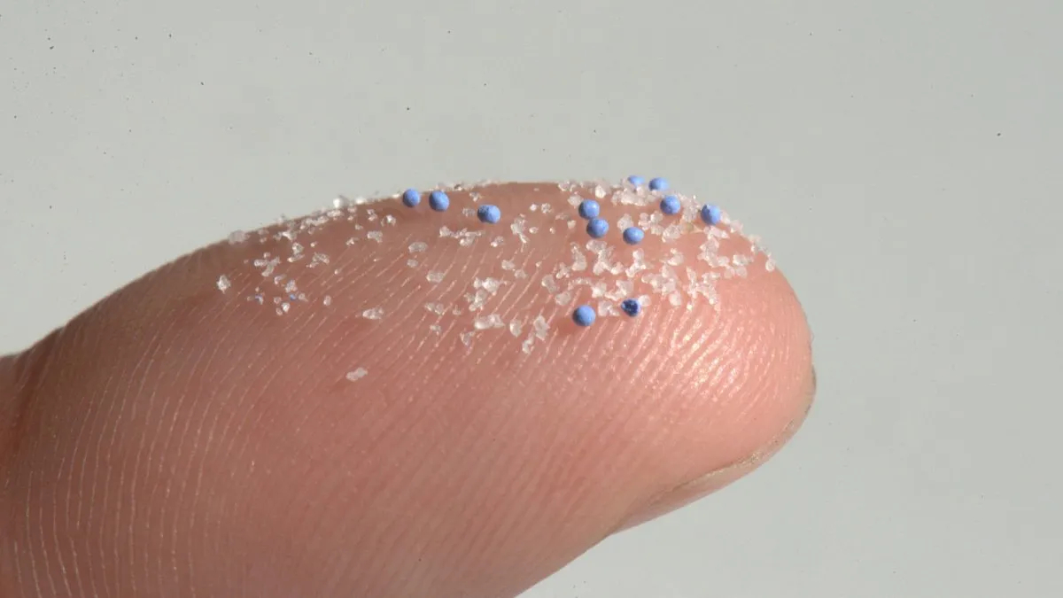 Bilim İnsanları, İnsan ve Köpek Testislerinde Mikroplastik Buldu