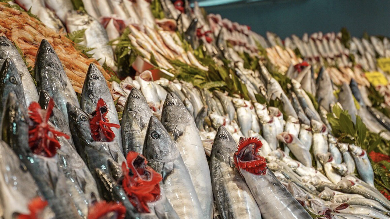 Neden Bazı Deniz Ürünleri Çok Kötü Kokar? Sebeplerini Öğrenince Balıklara Hak Vereceksiniz