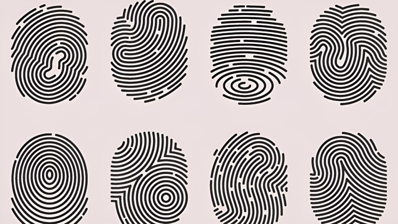 Finger prints